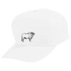 Youth Five-Panel Cotton Twill Cap Thumbnail