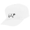 Youth Five-Panel Cotton Twill Cap Thumbnail