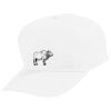 Youth Five-Panel Cotton Twill Cap Thumbnail