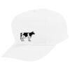 Youth Five-Panel Cotton Twill Cap Thumbnail