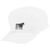 Youth Five-Panel Cotton Twill Cap Thumbnail