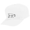 Youth Five-Panel Cotton Twill Cap Thumbnail