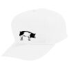 Youth Five-Panel Cotton Twill Cap Thumbnail