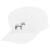 Youth Five-Panel Cotton Twill Cap Thumbnail