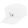 Youth Five-Panel Cotton Twill Cap Thumbnail