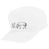 Youth Five-Panel Cotton Twill Cap Thumbnail