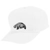 Youth Five-Panel Cotton Twill Cap Thumbnail