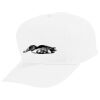 Youth Five-Panel Cotton Twill Cap Thumbnail