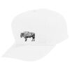 Youth Five-Panel Cotton Twill Cap Thumbnail