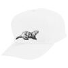 Youth Five-Panel Cotton Twill Cap Thumbnail