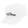 Youth Five-Panel Cotton Twill Cap Thumbnail