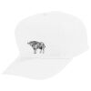 Youth Five-Panel Cotton Twill Cap Thumbnail
