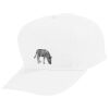 Youth Five-Panel Cotton Twill Cap Thumbnail