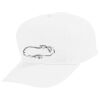 Youth Five-Panel Cotton Twill Cap Thumbnail