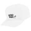Youth Five-Panel Cotton Twill Cap Thumbnail