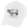 Youth Athletic Mesh Cap Thumbnail