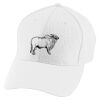 Youth Athletic Mesh Cap Thumbnail