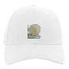 Brushed Cotton Twill Hook-And-Loop Adjustable Cap Thumbnail