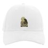 Brushed Cotton Twill Hook-And-Loop Adjustable Cap Thumbnail