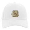 Brushed Cotton Twill Hook-And-Loop Adjustable Cap Thumbnail