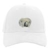 Brushed Cotton Twill Hook-And-Loop Adjustable Cap Thumbnail