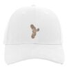 Brushed Cotton Twill Hook-And-Loop Adjustable Cap Thumbnail