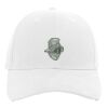 Brushed Cotton Twill Hook-And-Loop Adjustable Cap Thumbnail