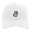 Brushed Cotton Twill Hook-And-Loop Adjustable Cap Thumbnail