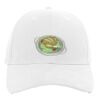 Brushed Cotton Twill Hook-And-Loop Adjustable Cap Thumbnail