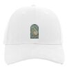 Brushed Cotton Twill Hook-And-Loop Adjustable Cap Thumbnail