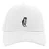 Brushed Cotton Twill Hook-And-Loop Adjustable Cap Thumbnail